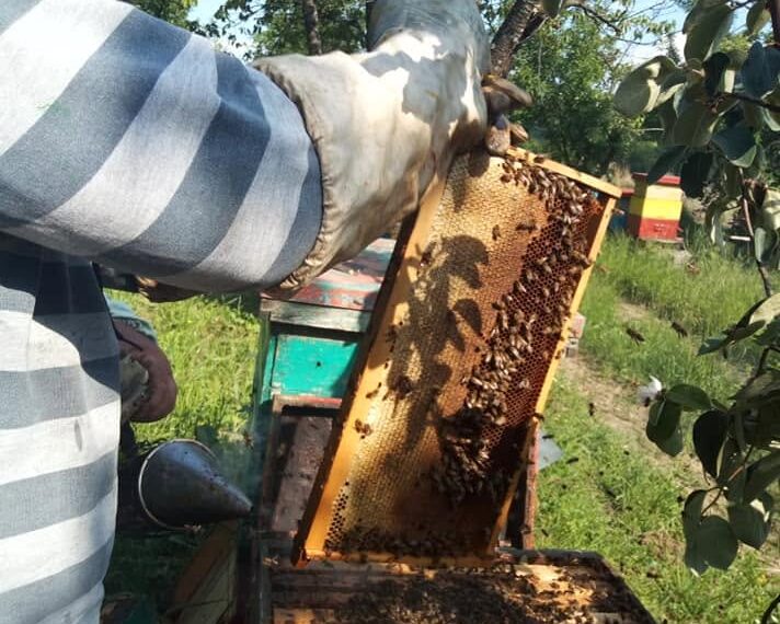 КО ОСТАЈЕ КАДА СВИ ОДУ: Млади су снага која Петровцу на Млави даје будућност